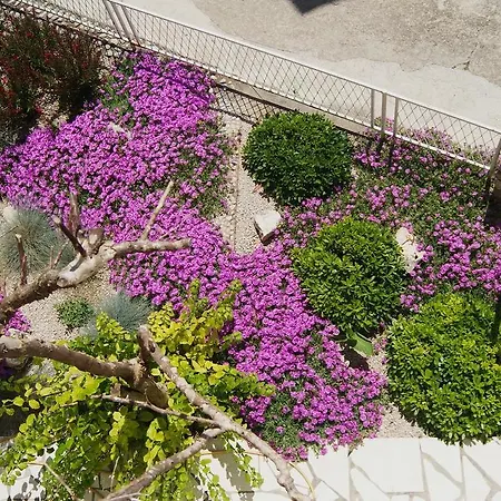 15718a Apartament